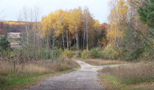 The gravel pathways before the funding project